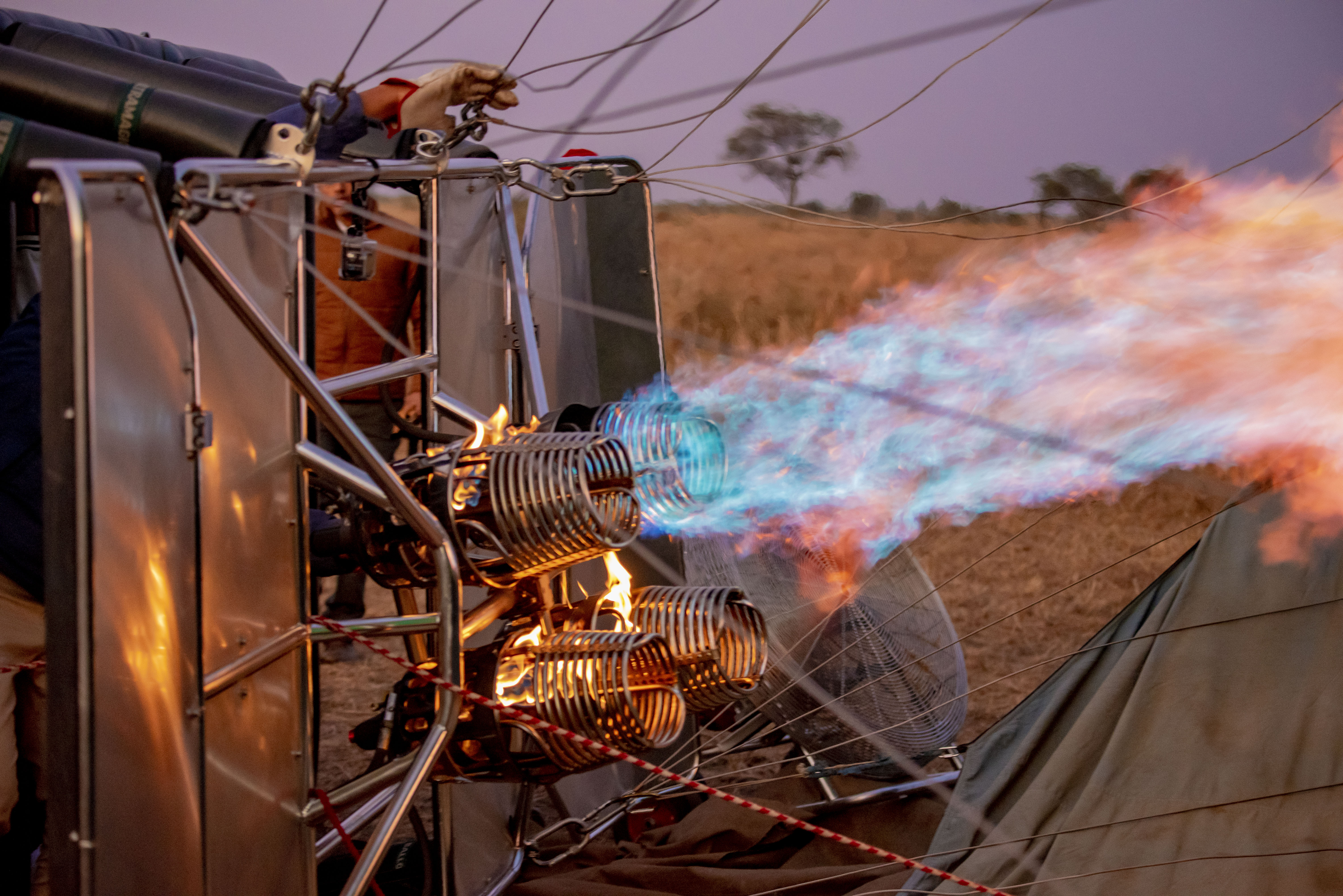Safari Experience