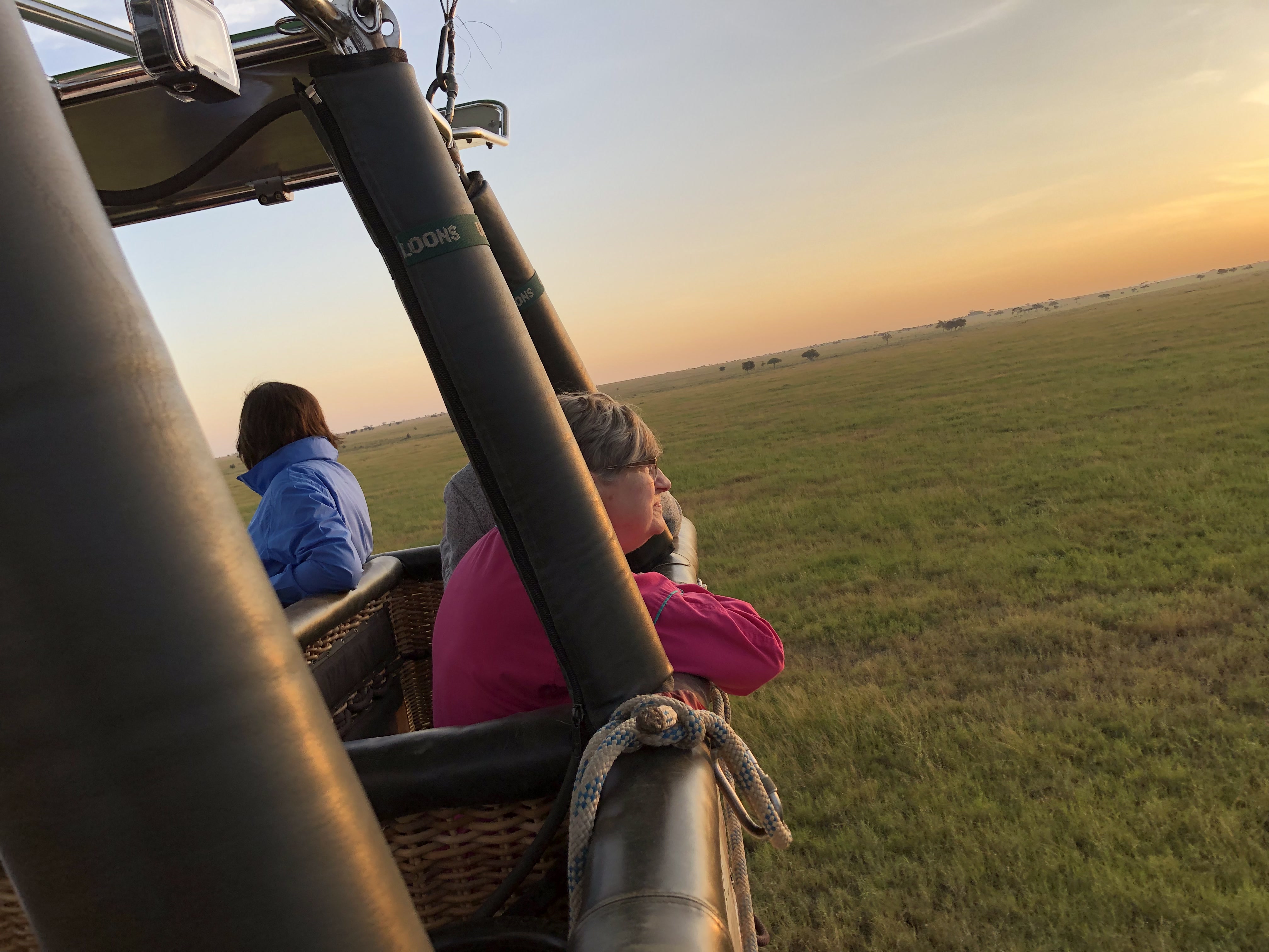 Safari Experience